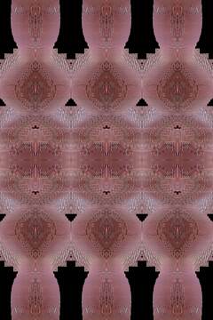 Red and White Poppies - Two - website