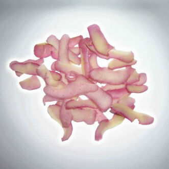 potato-peelings-study-1