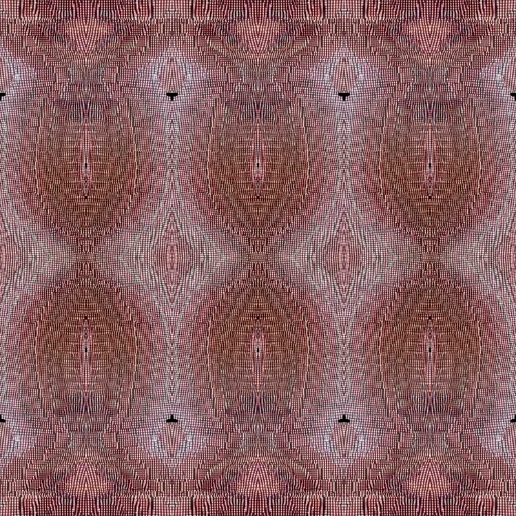 Beyond Red and White Poppies - One